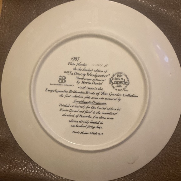 Collector plates Encyclopedia Britannica Birds of your Garden set of 4 - Picture 8 of 9